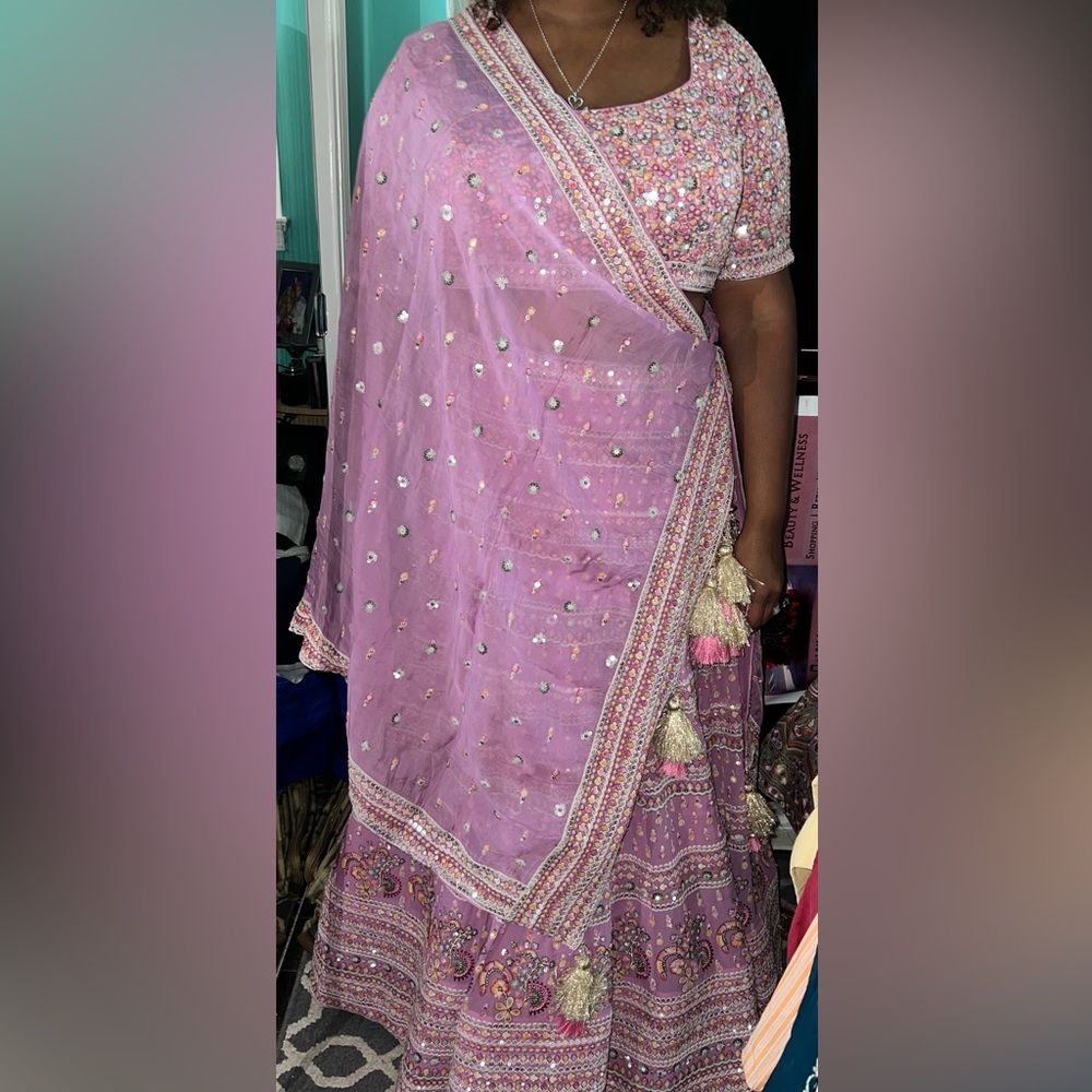 Pink Lehenga Set With Detailed Embroidery - Picture 3 of 6